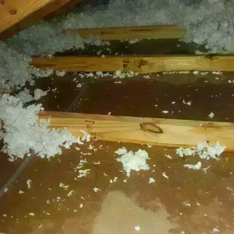 Attic Water Damage in Krum, TX