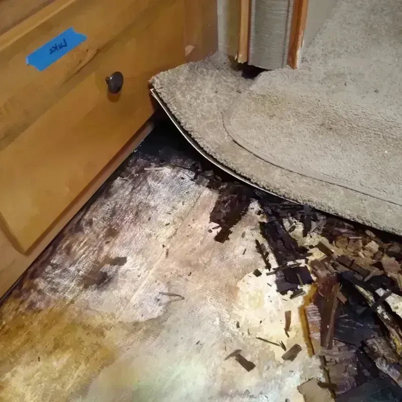 Wood Floor Water Damage in Krum, TX